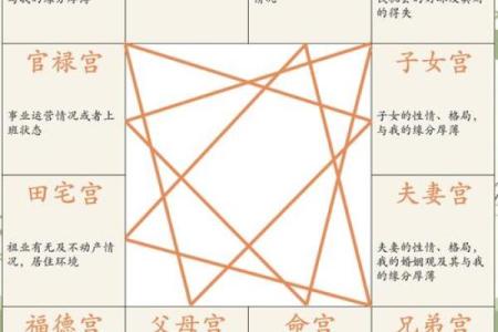 紫薇斗数命理八字占卜