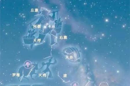 织女星位于哪个星座-牵牛星和织女星各属于什么星座