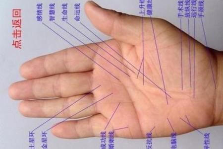 凯帝阿手相算命图解大全04