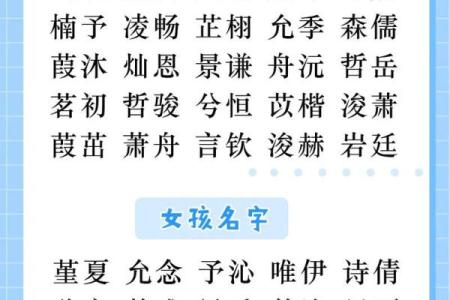 属狗未时出生的男孩应该如何起名，宜用哪些字姓名