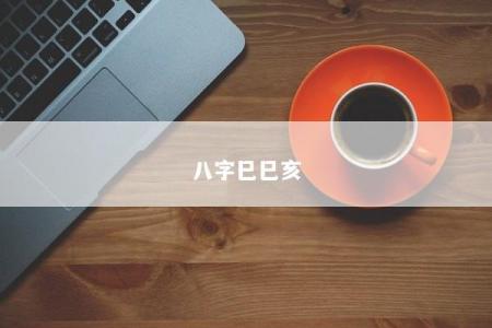 八字巳巳亥