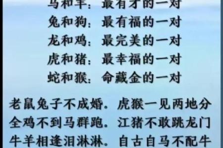十二生肖配对歌看看你和TA的缘分有多好