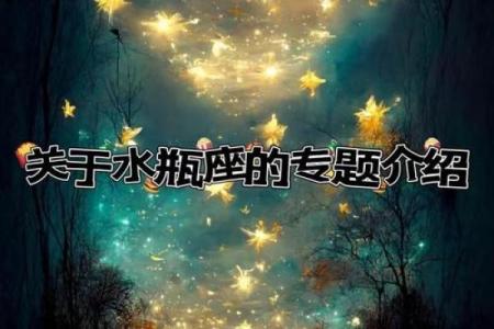哪个星座创造能力很强