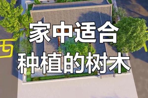 别乱栽树，坏了风水哭都来不及