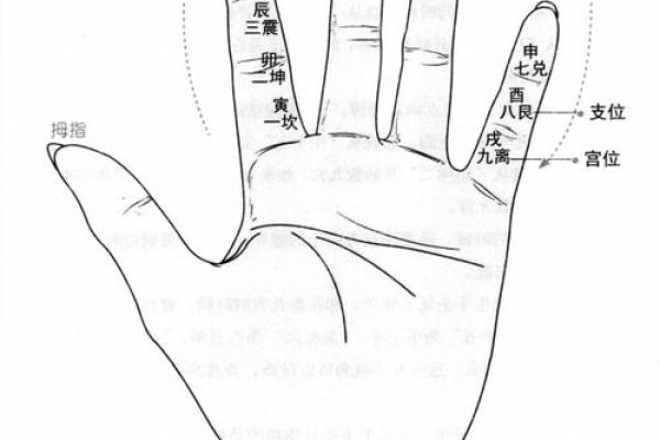 八字指的是