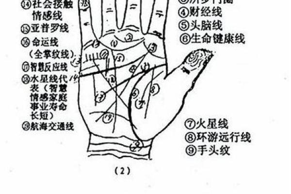 女性左手掌纹手相算命准吗