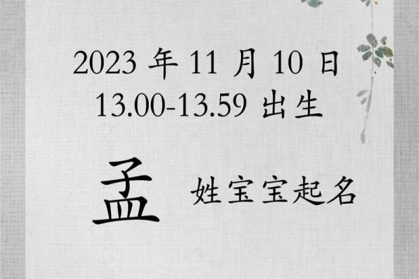 好听的孟姓女孩起名姓名