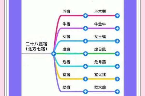 二十八星宿查询表配对