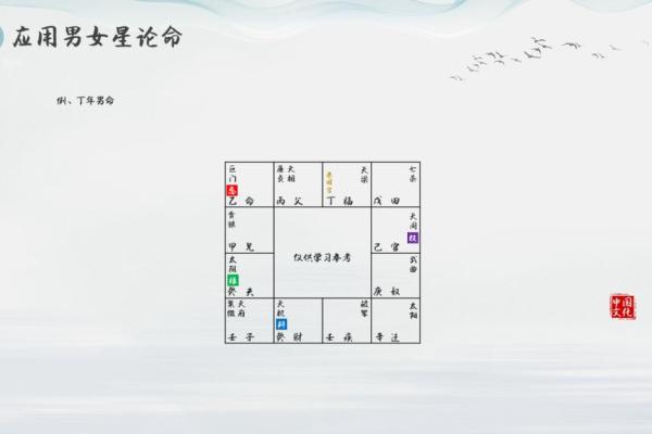 紫薇豆斗数软件