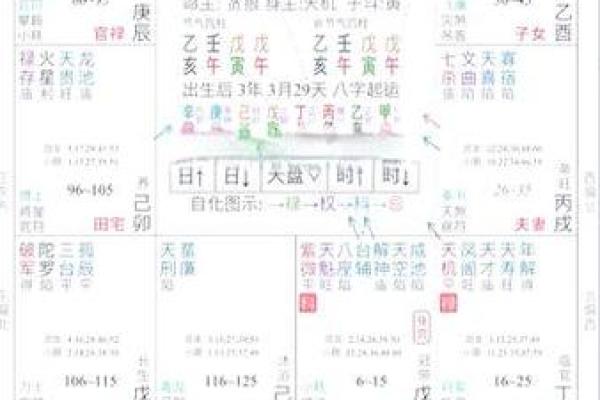 紫薇豆斗数软件