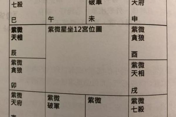 紫薇斗数富贵格