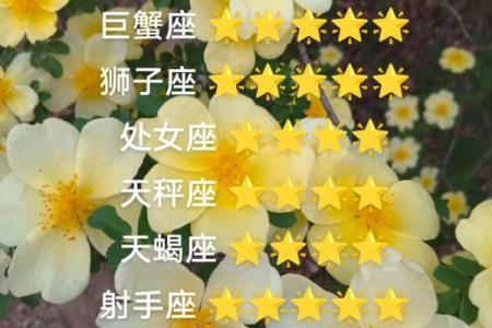 求今日星座运势