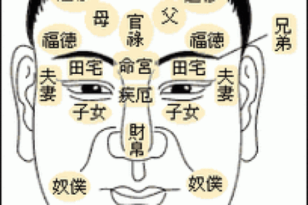 肩膀算命大全