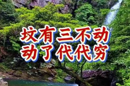 好的祖坟风水几年见效