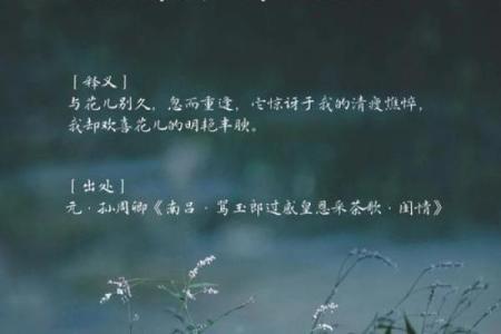 忧伤八字