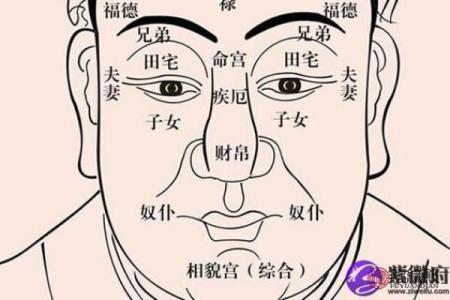紫薇星贪狼星在福德宫