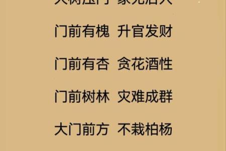 风水人居