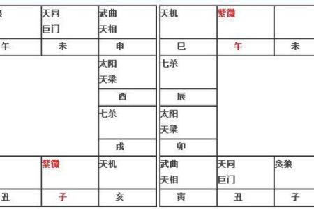紫薇斗数求解盘