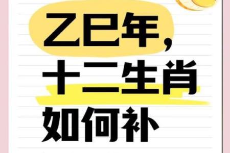 24年8月4日财运爆棚指南：生肖麻将必胜秘籍 今日财神方位深度解析
