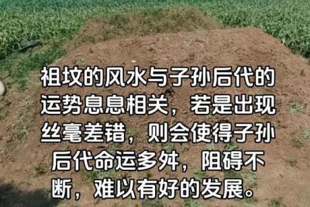 祖坟风水好见效快，如果你不知道可以看看这篇文章！