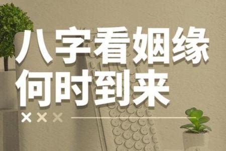 八字命理婚姻