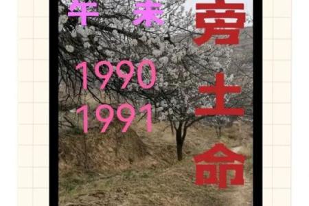 八字土命人适合干啥