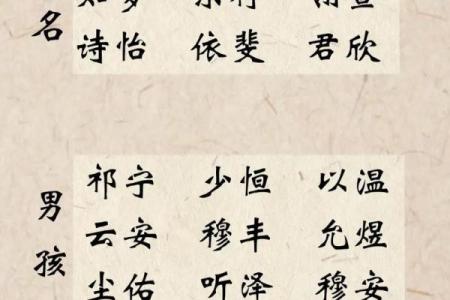 2019年3月17号申时出生的女孩如何起名姓名