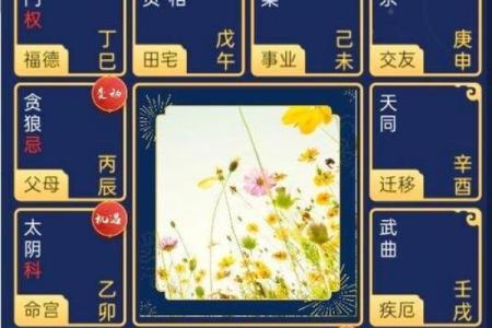 适合学紫薇斗数