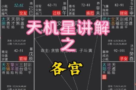 紫微斗数：天机星在财帛宫代表什么？
