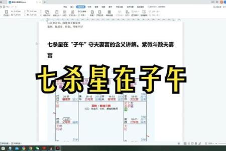 紫薇斗数单守什么意思