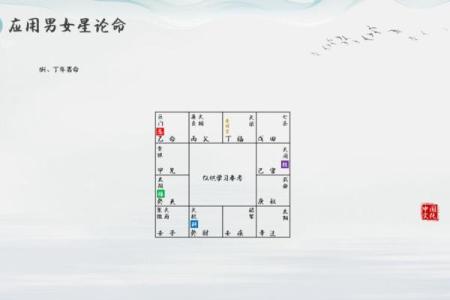 紫薇豆斗数软件