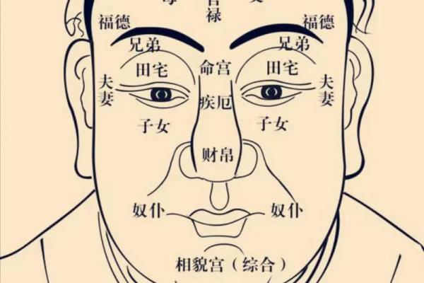 中华紫薇斗数在线排盘