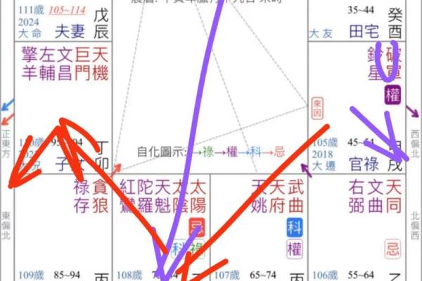 中华紫薇斗数在线排盘