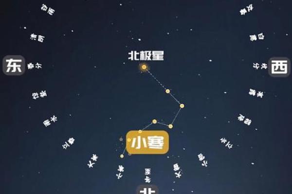 北斗七星是什么星座