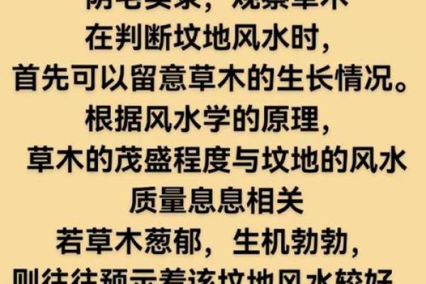 墓地虽小风水多，阴宅宜忌指南