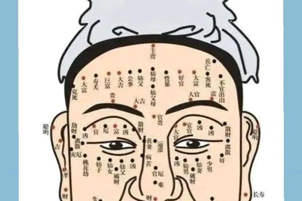 耳朵面相算命