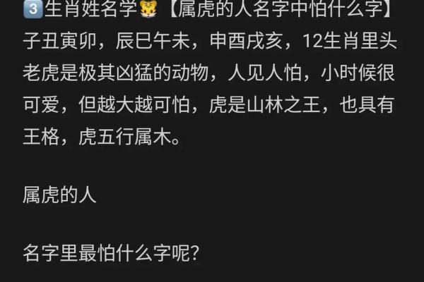 下午出生的属虎男孩应该起什么名，宜用什么字姓名