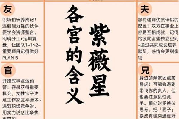 紫薇斗数紫薇星+财锦