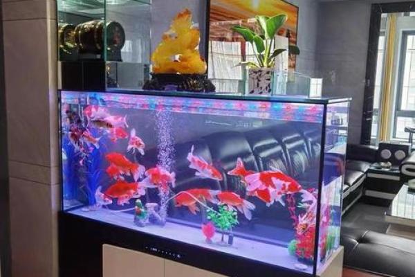 鱼缸的摆放位置与风水的关系