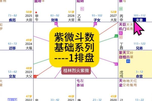 紫薇斗数速成