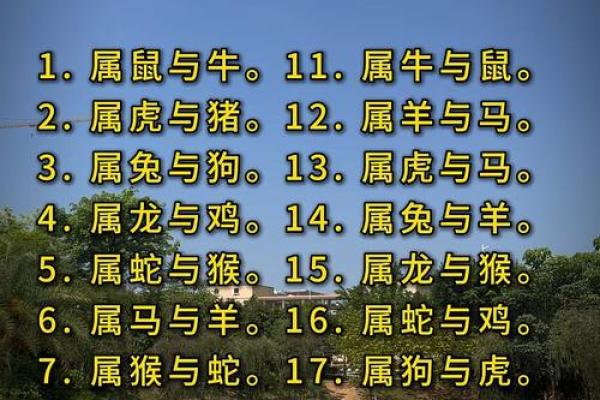 婚姻属相配对大全很准
