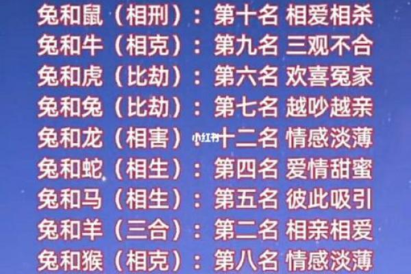 婚姻属相配对大全很准