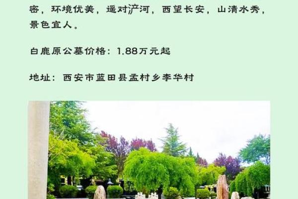 公墓的风水知识