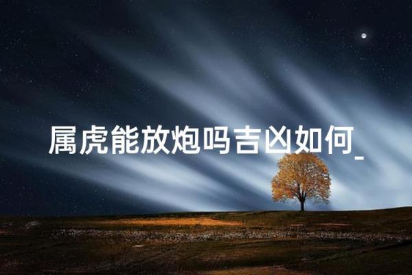 属虎方位吉凶图表详解大全