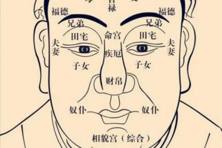 中华紫薇斗数在线排盘