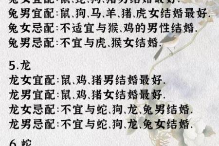 2001年属什么生肖几岁 婚配 多大 配对情况如何