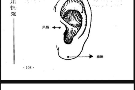 耳朵面相算命