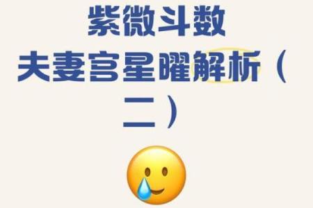 紫微斗数之各星曜所主行业：生死夭寿