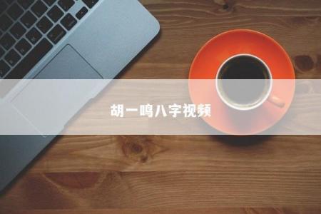 胡一鸣八字视频