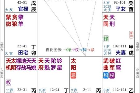 紫薇斗数的四化是什么原理